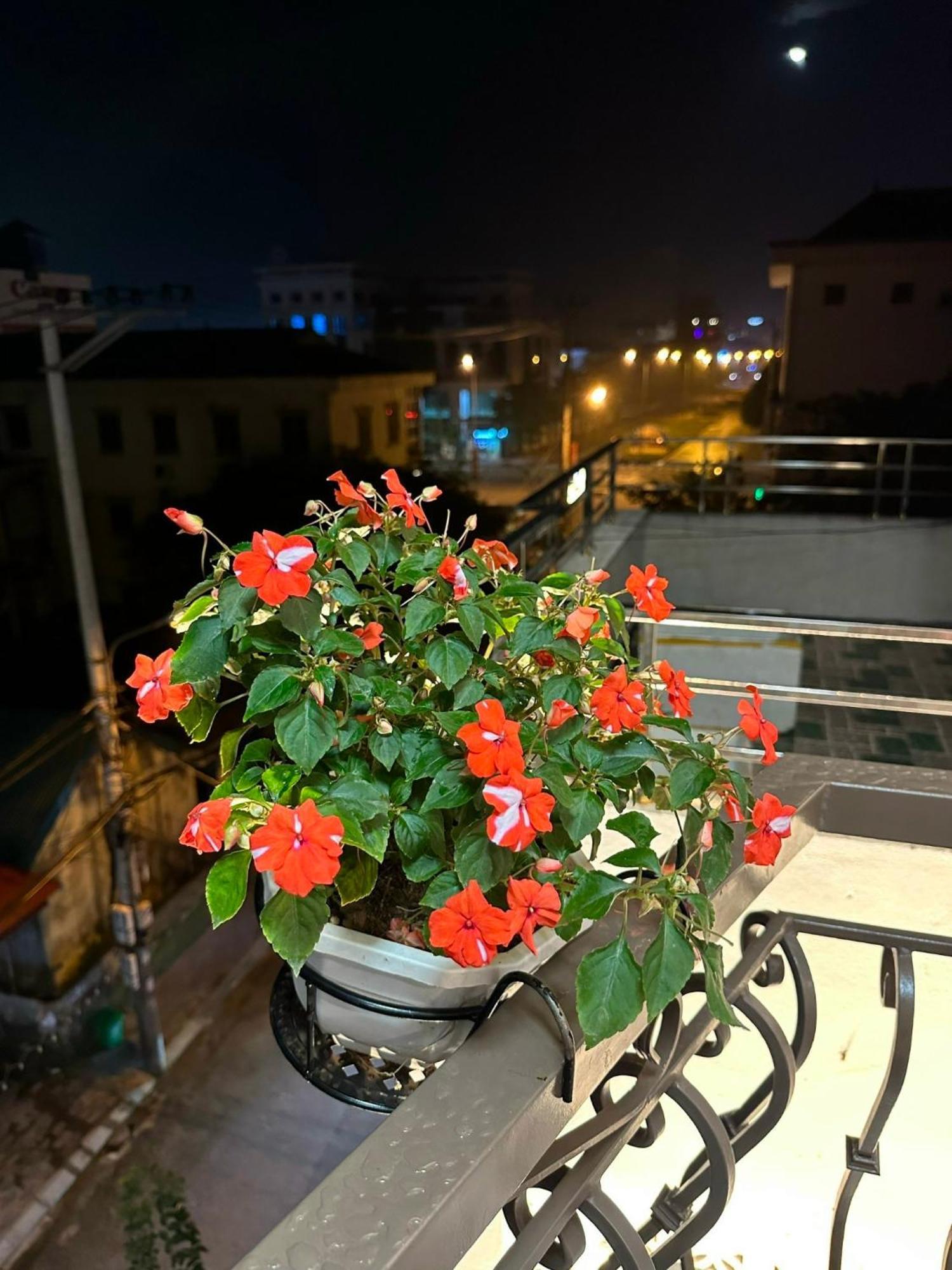 Dolce Mia Khách sạn